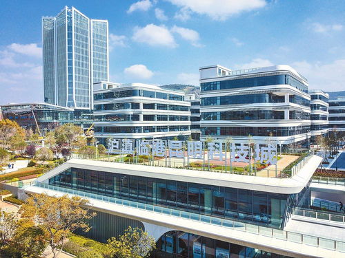 争当排头兵 奋力强省会 云南 四区联动 打造南向开放新样板